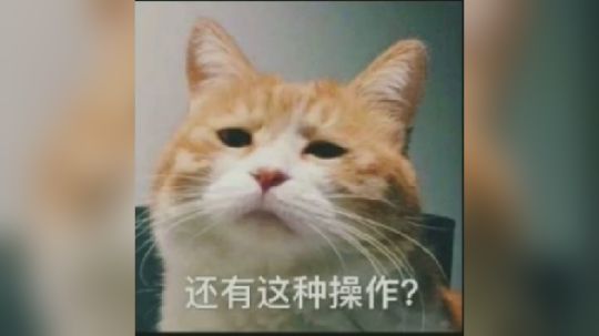 鱼乐日常 10 最强套路（爆笑）