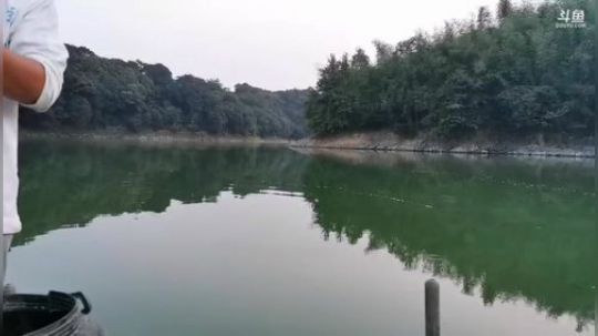 陆水湖夜钓p30试水 2019-08-20 18点场