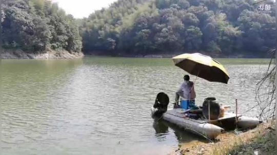 陆水湖白天野钓，赌10斤鱼？ 2019-08-21 09点场