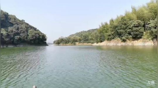 陆水湖白天野钓，赌10斤鱼？ 2019-08-21 08点场