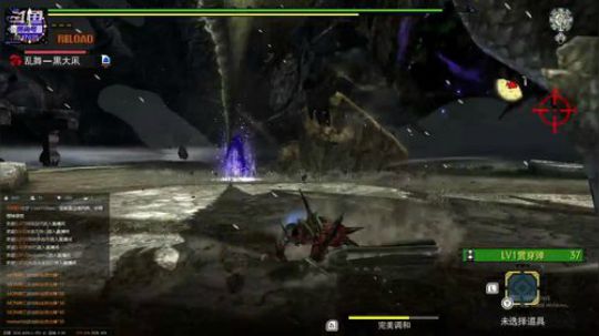 Switch怪猎GU，清集会下位任务 2019-08-20 23点场