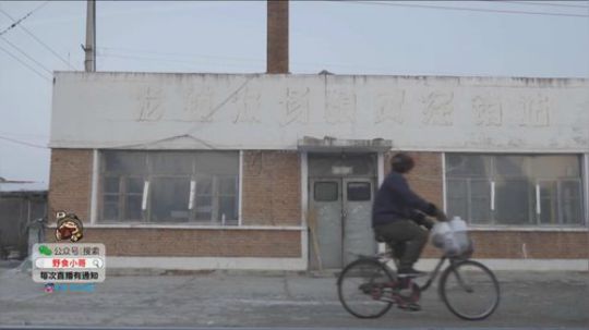 我在斗鱼看野食小哥直播美食