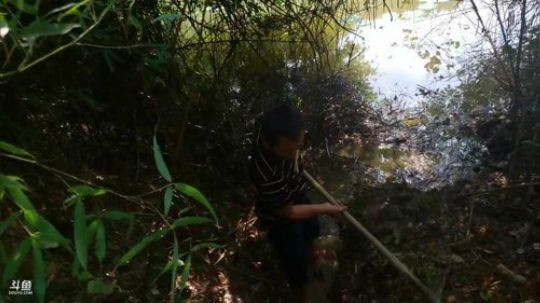 到浙江顺便干个塘玩玩 2019-08-22 13点场