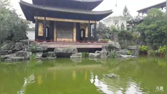 新中国成立70年之见证广州老城市新活力 2019-08-22 11点场