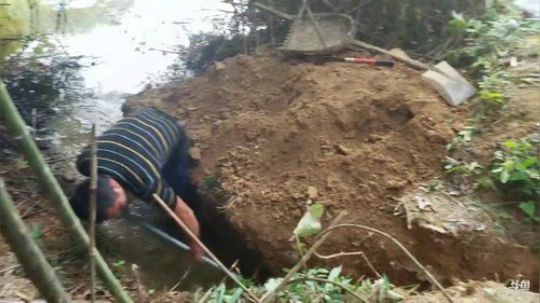 大哥送上门' 2019-08-22 15点场