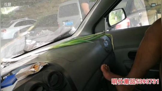 科头溜子发布了一个斗鱼视频2019-08-23