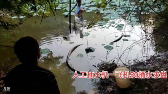 到浙江干个塘回家。 2019-08-23 16点场