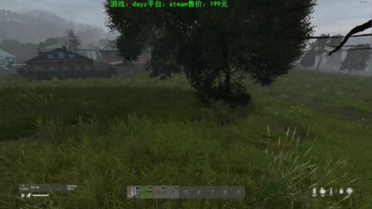 dayz灾变后五十年 2019-08-22 18点场