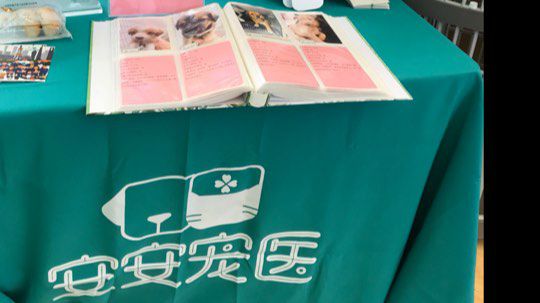 上海猫狗大联盟2019亚宠展现在领养活动