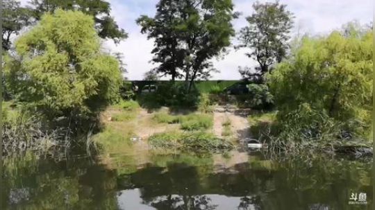 哆啦爱梦梦发布了一个斗鱼视频2019-08-23