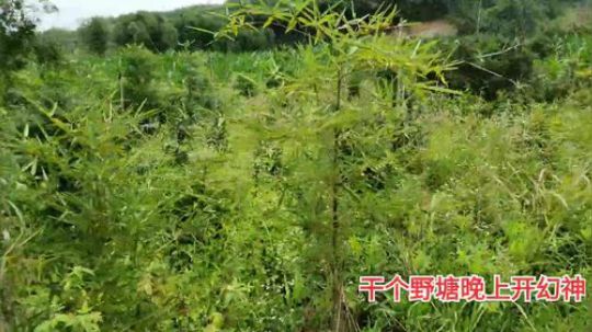 到浙江干个塘回家。 2019-08-23 10点场