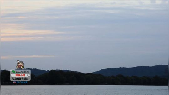 我在斗鱼看野食小哥直播美食