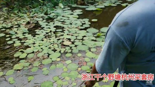 到浙江干个塘回家。 2019-08-23 14点场