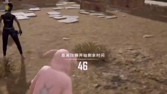 当第一次穿上兔兔装又遇到一个兔兔时…