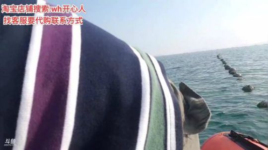 【大海钓鱼哥】 2019-08-20 07点场