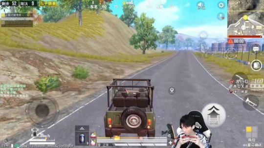 单人带队23杀吃鸡