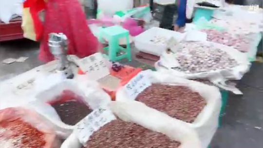 科头溜子发布了一个斗鱼视频2019-08-24