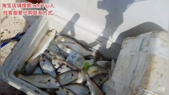 【大海钓鱼哥】 2019-08-22 14点场