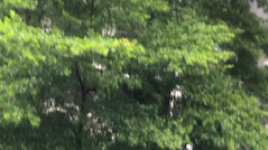 神棍老师麦迪文发布了一个斗鱼视频2019-08-25