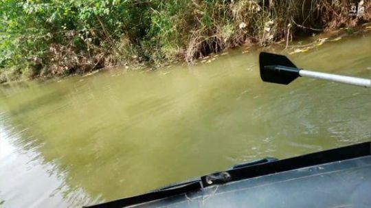 5s终极神器搞鱼货 2019-08-24 10点场