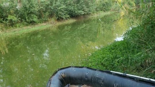 5s终极神器搞鱼货 2019-08-24 16点场