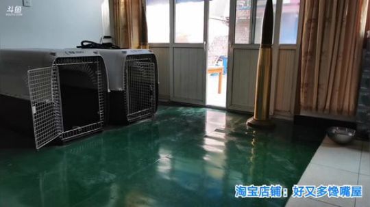 闹闹可遇不可求发布了一个斗鱼视频2019-08-25