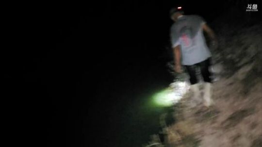 出货出货（麻鳝） 2019-08-23 22点场