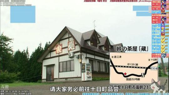 我在斗鱼看懒猫是只喵直播一起看