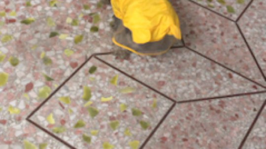 普通话很包准的龟发布了一个斗鱼视频2019-08-26