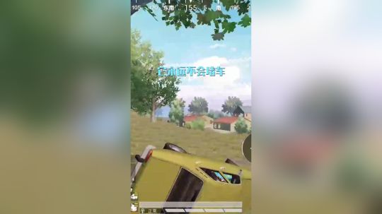 我的车有自己的想法