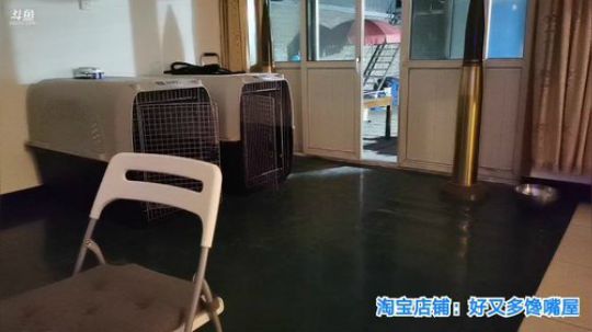 我在斗鱼看无尽无尽的无尽直播美食