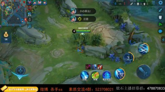 我在斗鱼看不可一世杀手直播王者荣耀