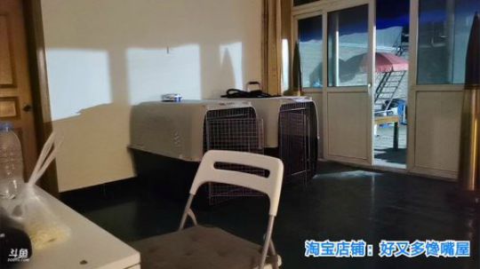 我在斗鱼看无尽无尽的无尽直播美食