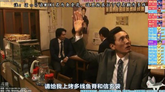 我在斗鱼看懒猫是只喵直播一起看