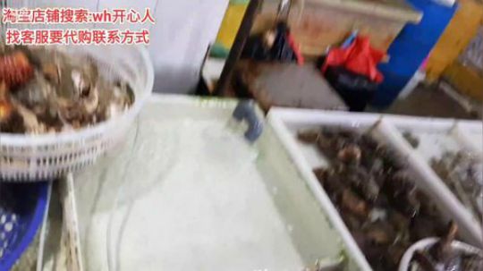 龙马精神丶老狼哥发布了一个斗鱼视频2019-08-28