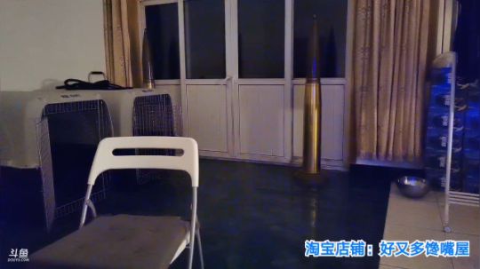 一生守护铁公鸡发布了一个斗鱼视频2019-08-28