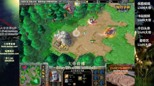 我在斗鱼看大帝LioN直播魔兽争霸