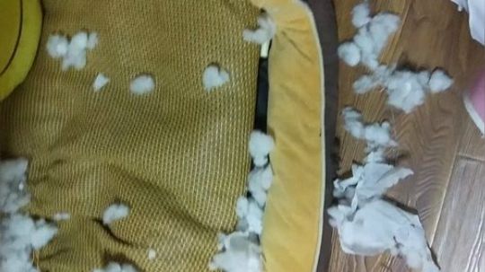 打完一把游戏回头一看~~~