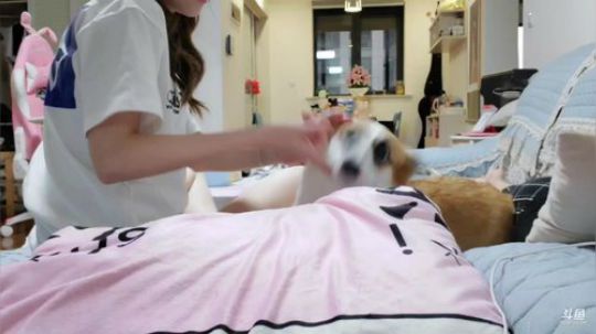 圆园团团发布了一个斗鱼视频2019-08-29