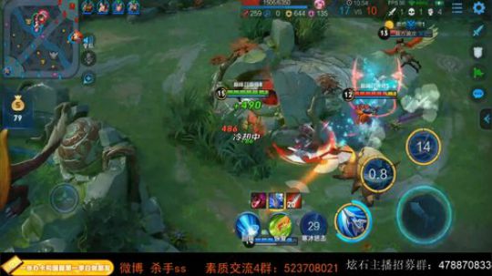 我在斗鱼看不可一世杀手直播王者荣耀