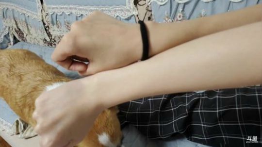 圆园团团发布了一个斗鱼视频2019-08-29