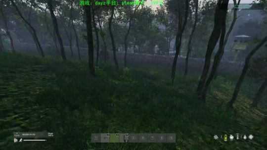 dayz大逃杀 2019-08-29 18点场