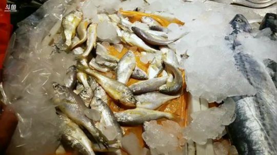 龙马精神丶老狼哥发布了一个斗鱼视频2019-08-30