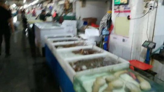 龙马精神丶老狼哥发布了一个斗鱼视频2019-08-30