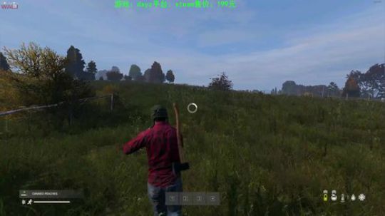 dayz大逃杀 2019-08-28 22点场