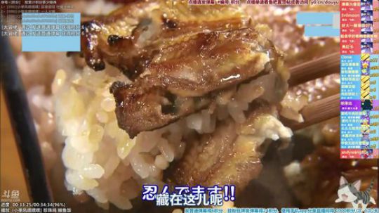 我在斗鱼看懒猫是只喵直播一起看