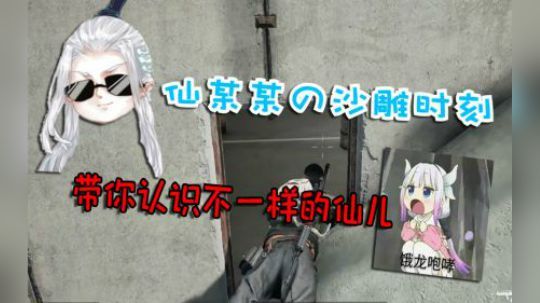 【仙某某】仙某某的沙雕集锦，带你认识不一样的可爱仙儿