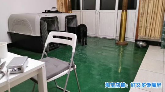 我在斗鱼看无尽无尽的无尽直播美食