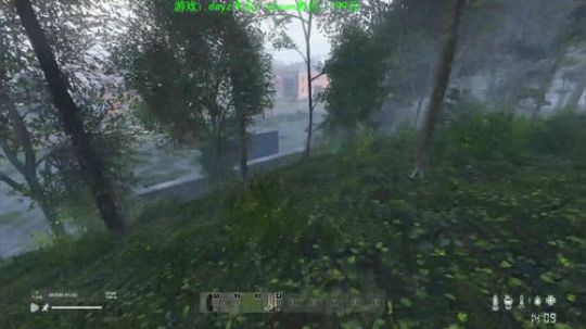 dayz大逃杀 2019-08-29 20点场