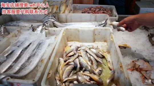 西北老狼哥哥发布了一个斗鱼视频2019-08-30